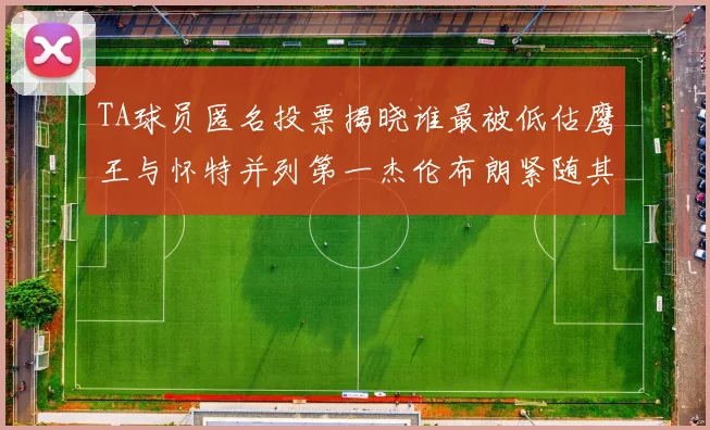 TA球员匿名投票揭晓谁最被低估鹰王与怀特并列第一杰伦布朗紧随其后